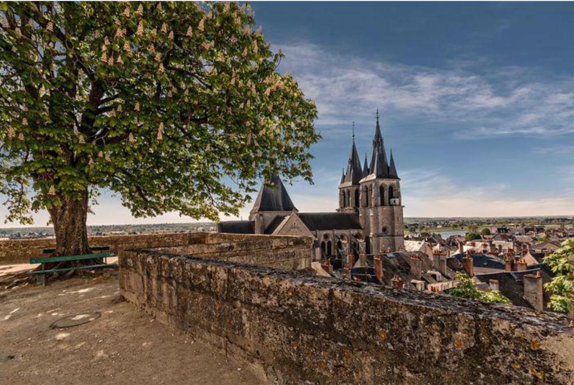 Appartement Coeur De Blois /Heart Of The City Bagian luar foto